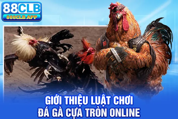 Giới thiệu luật chơi đá gà cựa tròn online