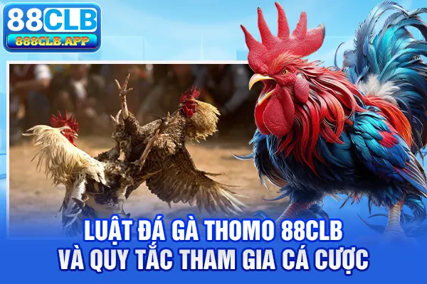 Luật đá gà Thomo 88CLB và quy tắc tham gia cá cược