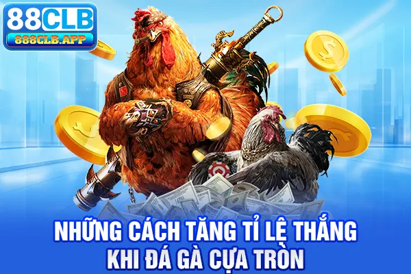 Những cách tăng tỉ lệ thắng khi đá gà cựa tròn