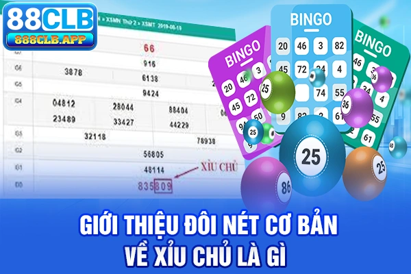 Giới thiệu đôi nét cơ bản về xỉu chủ là gì