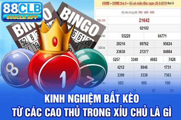 Kinh nghiệm bắt kèo từ các cao thủ trong xỉu chủ là gì