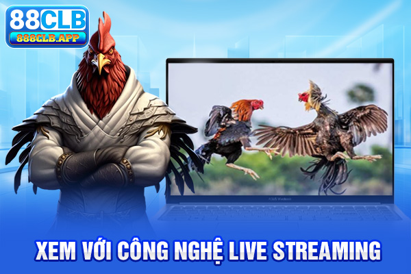 Xem đá gà 88CLB với công nghệ live streaming